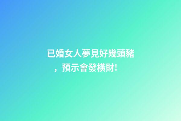 已婚女人夢見好幾頭豬，預示會發橫財!-第1張-觀點-玄機派